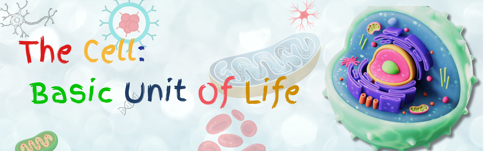 The basic unit if life : cell